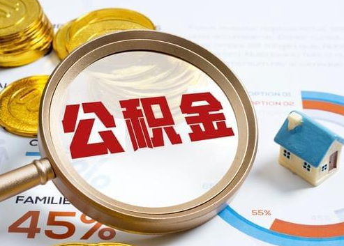 蛟河2025年政策调整对个人影响综合解析‌